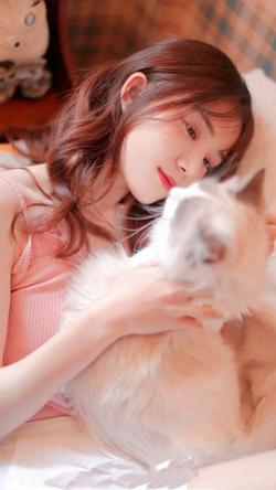 中文字幕3新功能